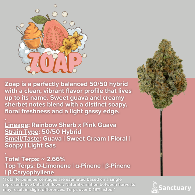 Zoap Sanctuary