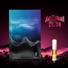 Animal Face   Rythm