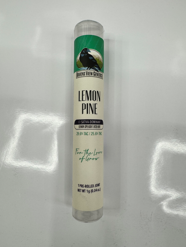 Lemon Pine Sativa 1G Raven's View Genetics