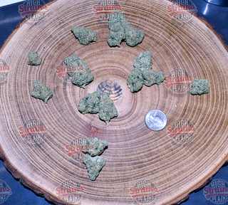 Phantom Dawg High Plainz