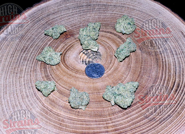 Jet Juice #2 High Plainz