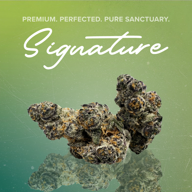 Boof Bomb Sanctuary Cannabis
