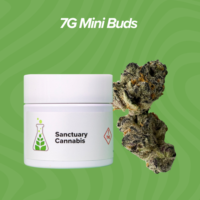 Boof Bomb Sanctuary Cannabis Boof Bomb Sanctuary Cannabis