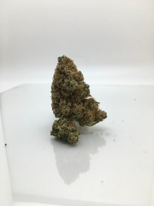 Chemo Bud The Hi-Line Co.