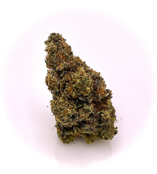 Blueberry Tahoe Do-si-do The Hi-Line Co.