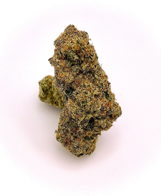 Mimosa The Hi-Line Co.