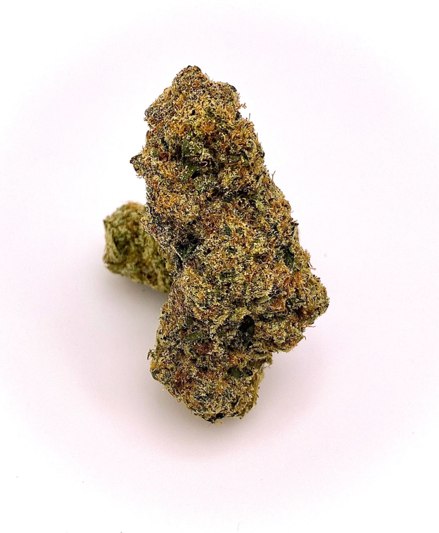 Mimosa The Hi-Line Co.