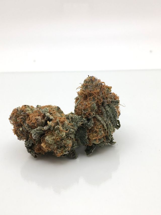 Purple Punch