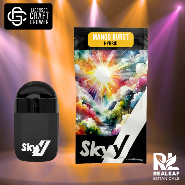 Mango Burst Skyy