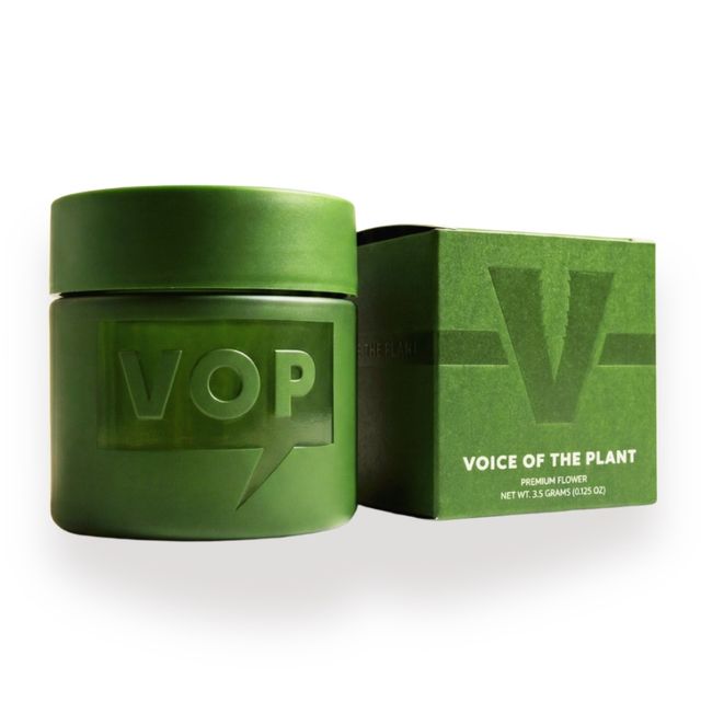 Gelato 41 Voice of The Plant