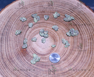 Hindu Kush Nature's