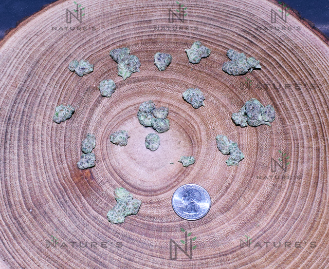 Hindu Kush Nature's