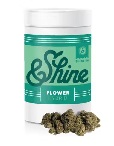 Chocolate Chips &Shine Chocolate Chips &Shine