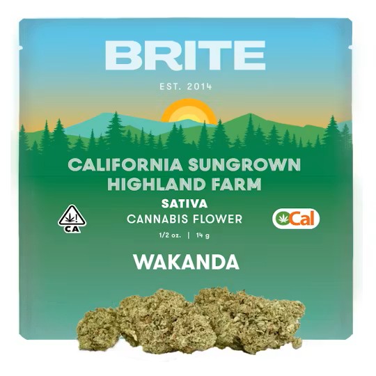 Brite Labs β Wakanda