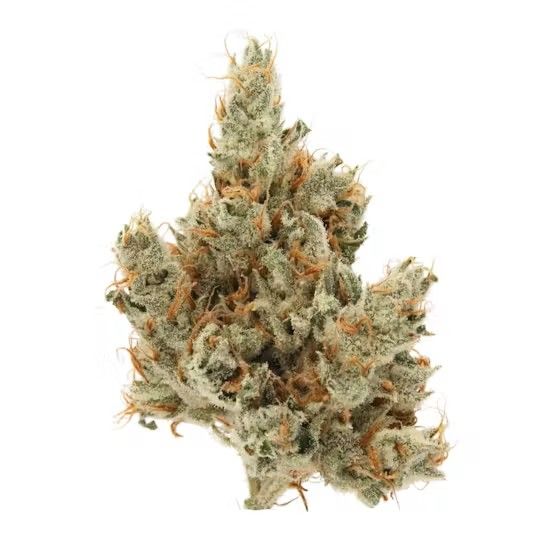 Sour Diesel X Headband Sense