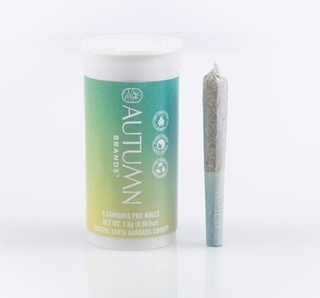 Autumn Brand — Daytrippin