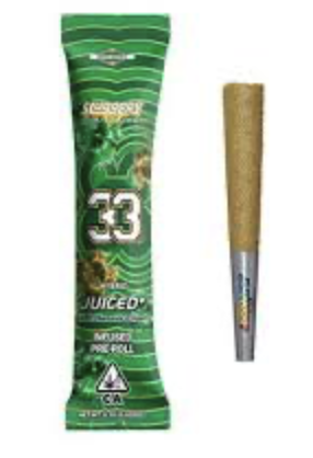 Sluggers — 33