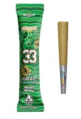 33 Sluggers