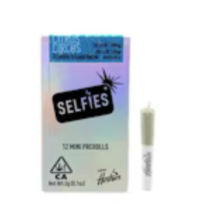 SELFiES — Ice Cream Cake