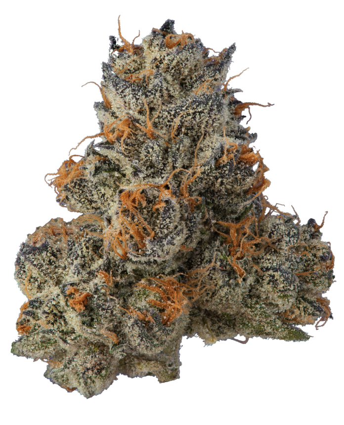 Fig Farms — Krypto Chronic