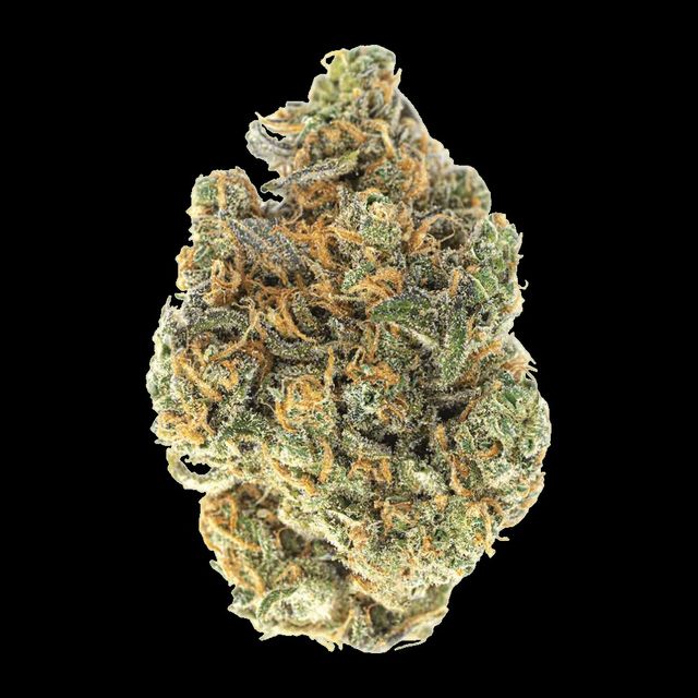 Pr - Kosher Kush - I Cam