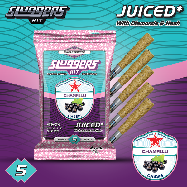 Champelli Cassis Sluggers