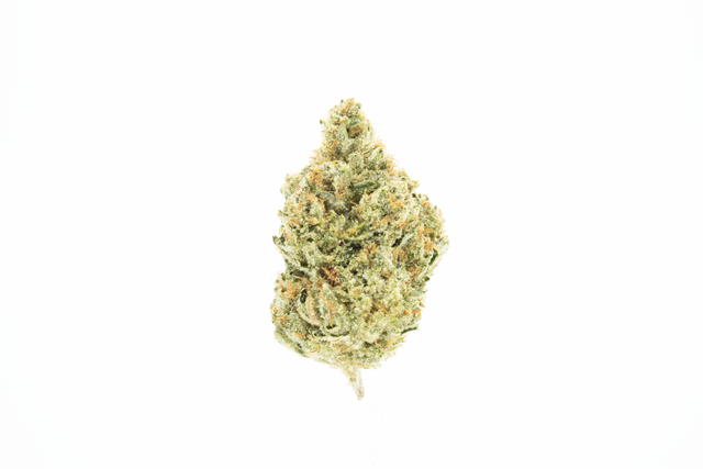 Headband Upnorth
