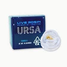 Moroccan Peaches Ursa