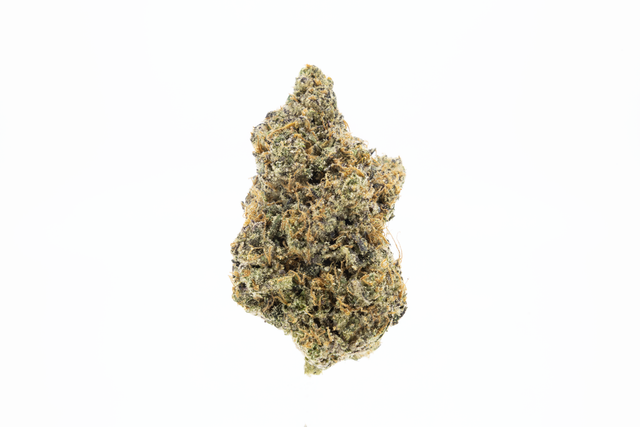 Purple Tangie 8Th Upnorth