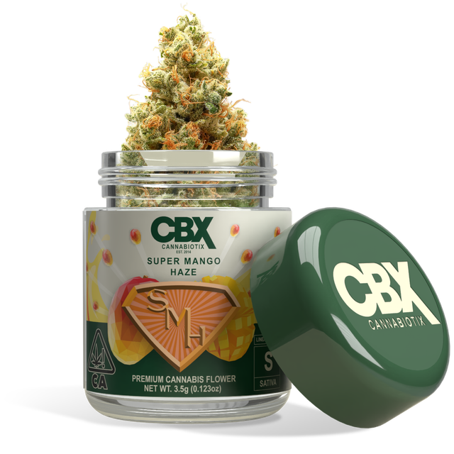 Super Mango Haze Cannabiotix