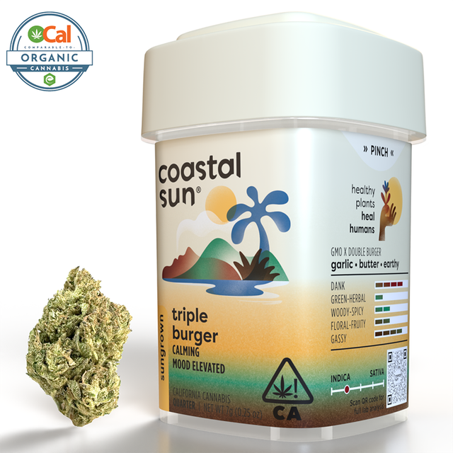 OCal Triple Burger Sungrown Coastal Sun