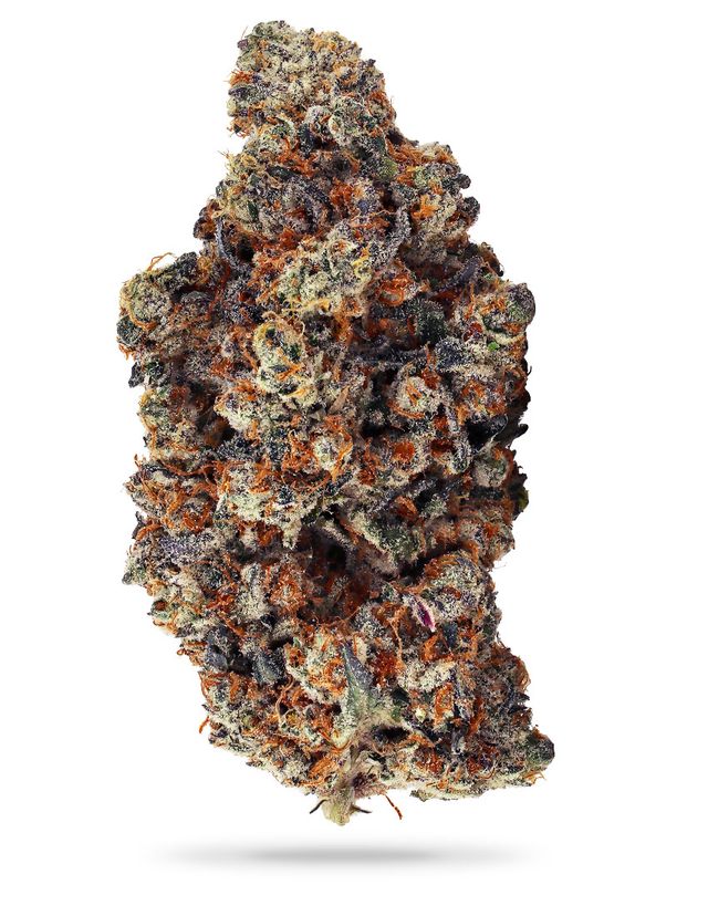 Butter Pecan  High Grade Farms
