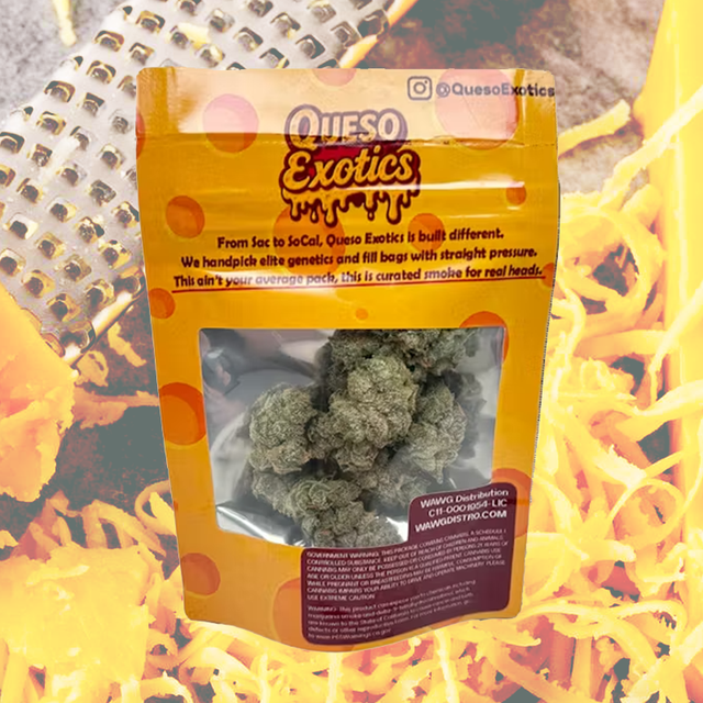Space Runtz Indoor Queso Exotics
