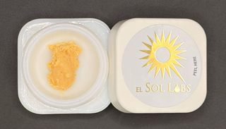 Palm Tree Delight el sol