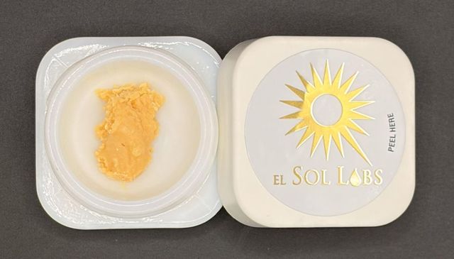 Palm Tree Delight el sol
