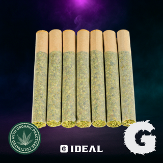 Beach Barbie Ideal Cannabis