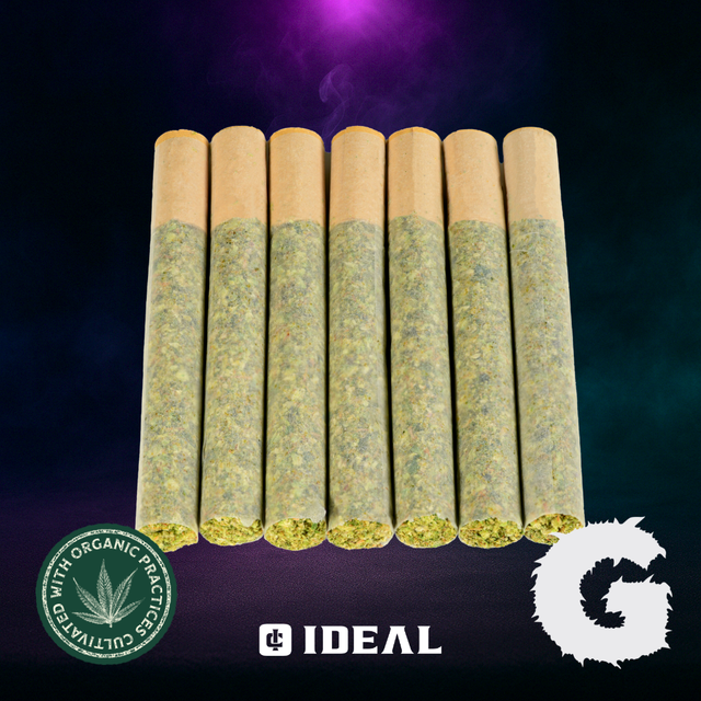 Beach Barbie Ideal Cannabis