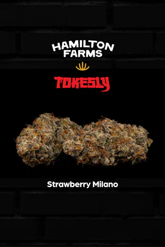 Strawberry Milano Tokesly