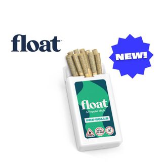 Big Bagg | 10ct Mini Pre-Rolls (.35g Each) Float