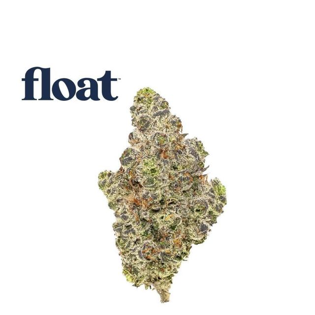 Quesojito | 3.5g Flower Float Quesojito | 3.5g Flower Float