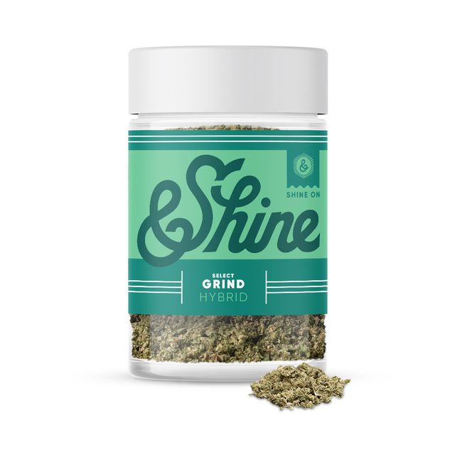 Outta My Head (14g) &Shine