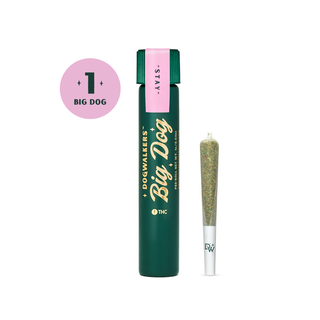 Afternoon Delight (1g) Dogwalkers