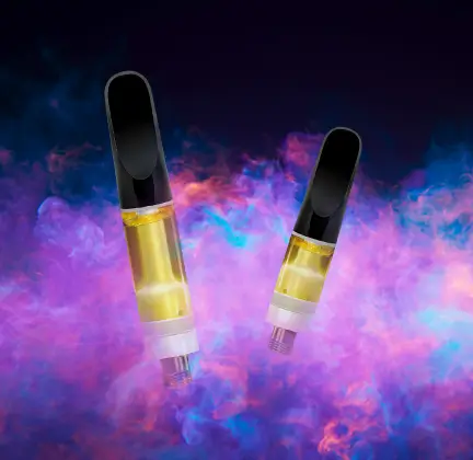 Slapz (0.5g) Rythm