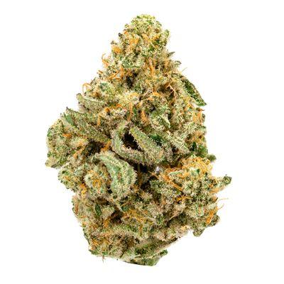 Citrus MAC Ozone