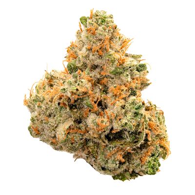 White Fire X Chem D The Botanist