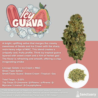 Icy Guava Sanctuary