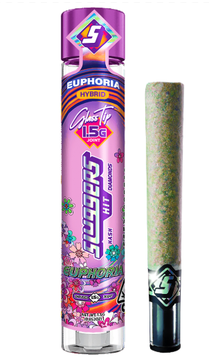 Sluggers — Euphoria