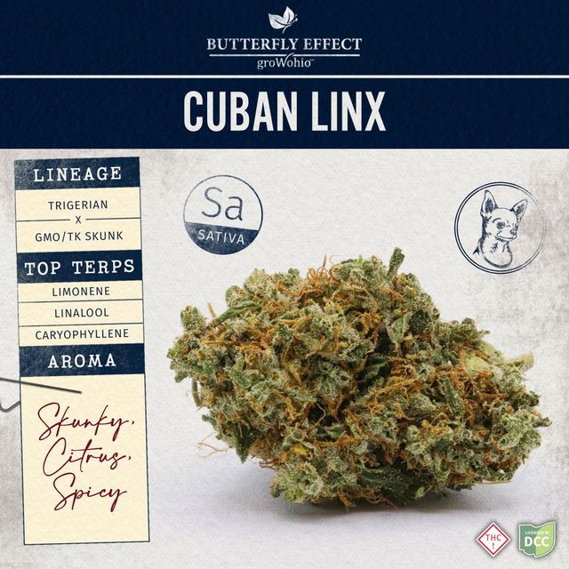 Cuban Linx  Butterfly Effect