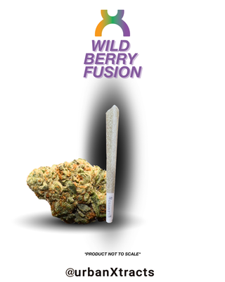Wild Berry Fusion urbanXtracts