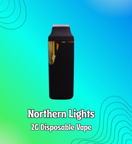 Northern Lights  Shnicks Shnacks